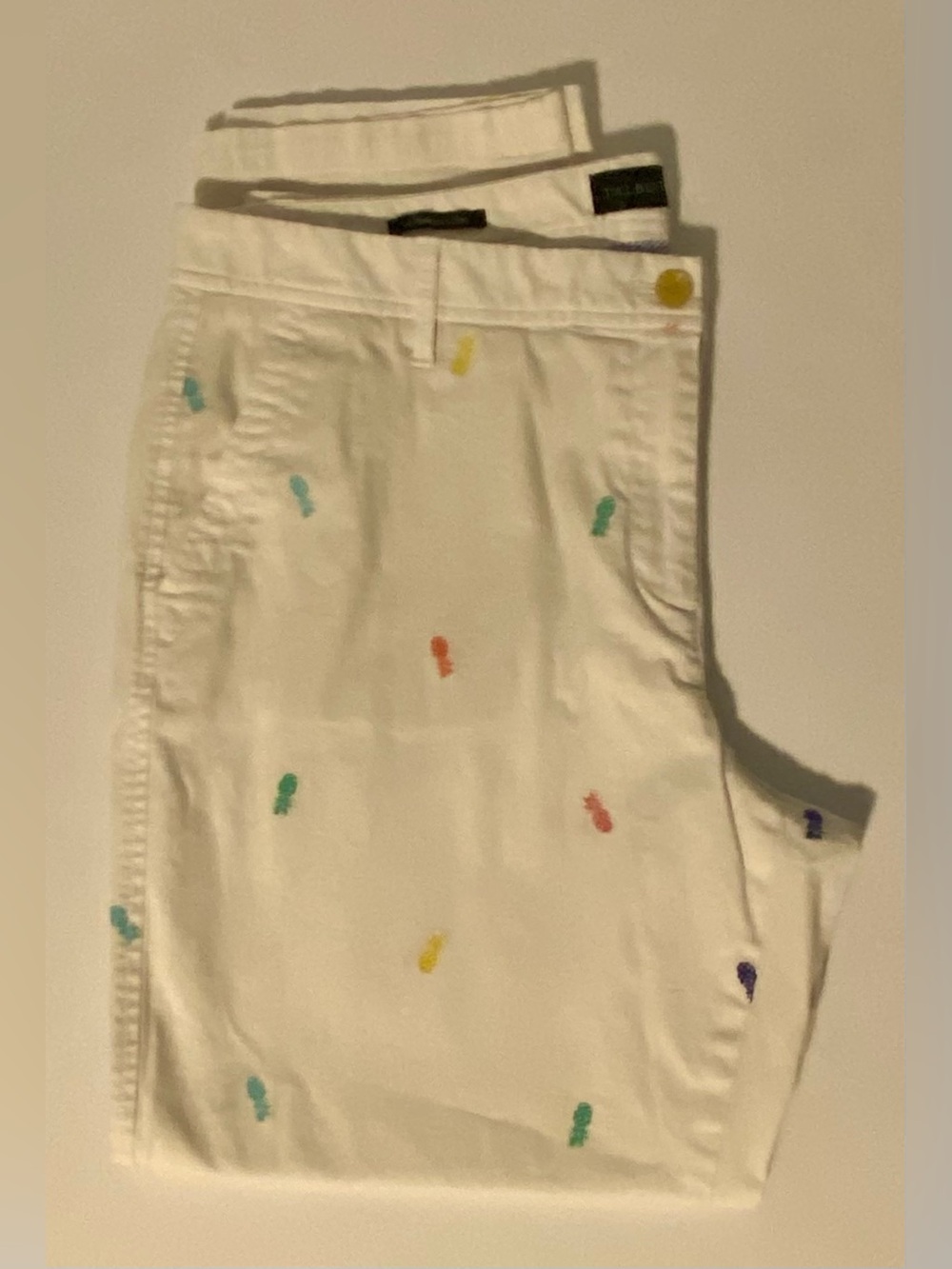 Talbot’s Relaxed Chino’s in Pineapple Print